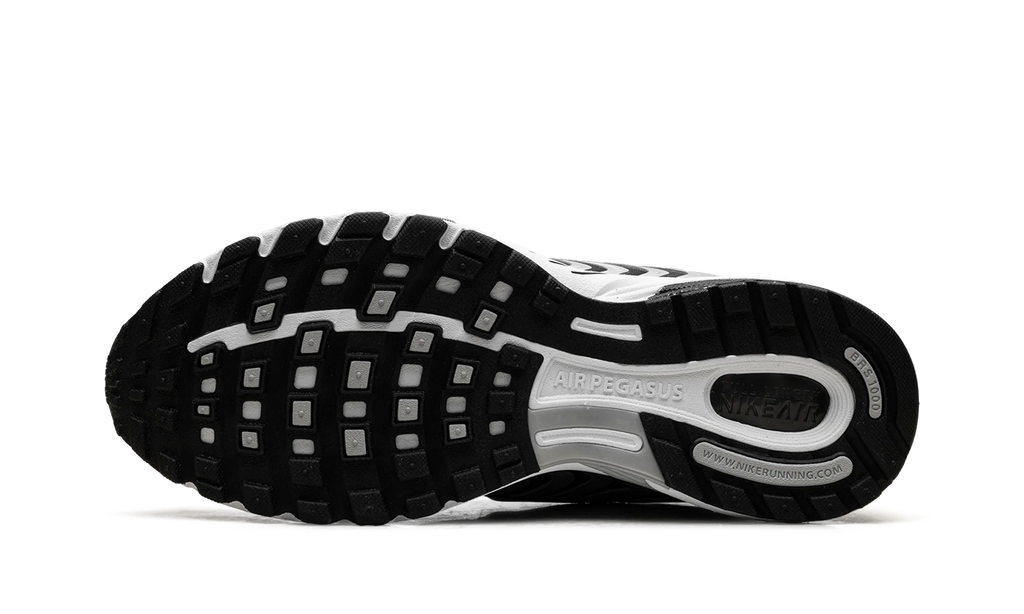 Air Pegasus 2005 "Metallic Silver White Black" HQ3031 002