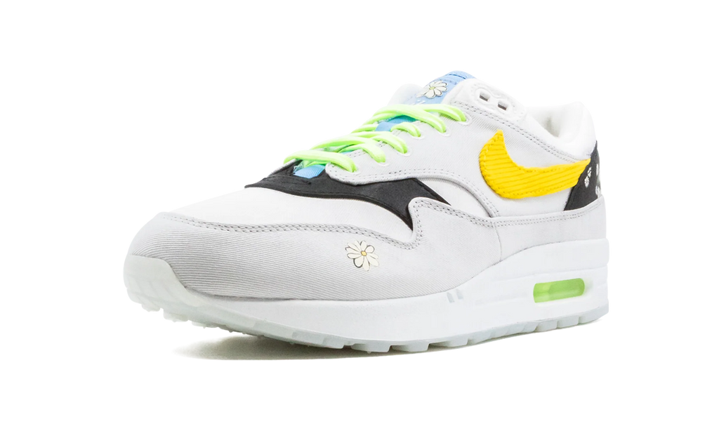 Air Max 1 "Daisy Pack" CW6031 100