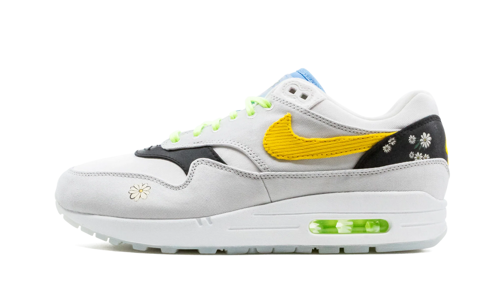 Air Max 1 "Daisy Pack" CW6031 100