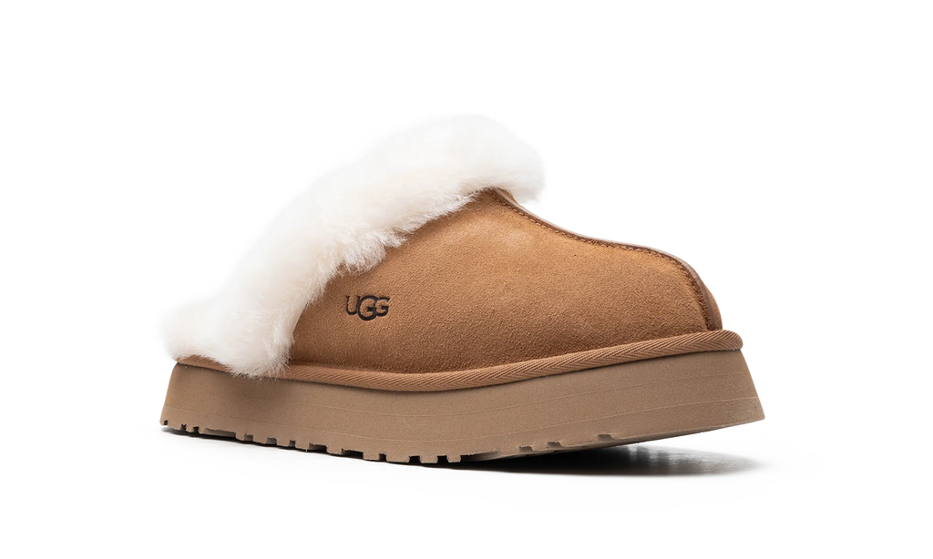 DISQUETTE WMNS "Chestnut" 1122550 CHE