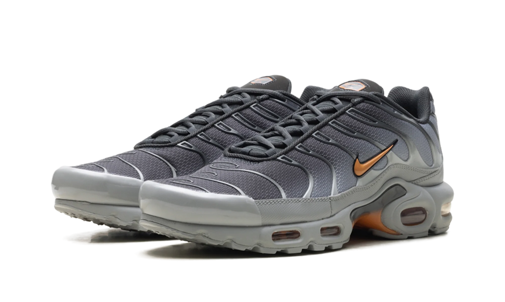 Air Max Plus "Light Smoke Grey Hot Curry" DM0032 037