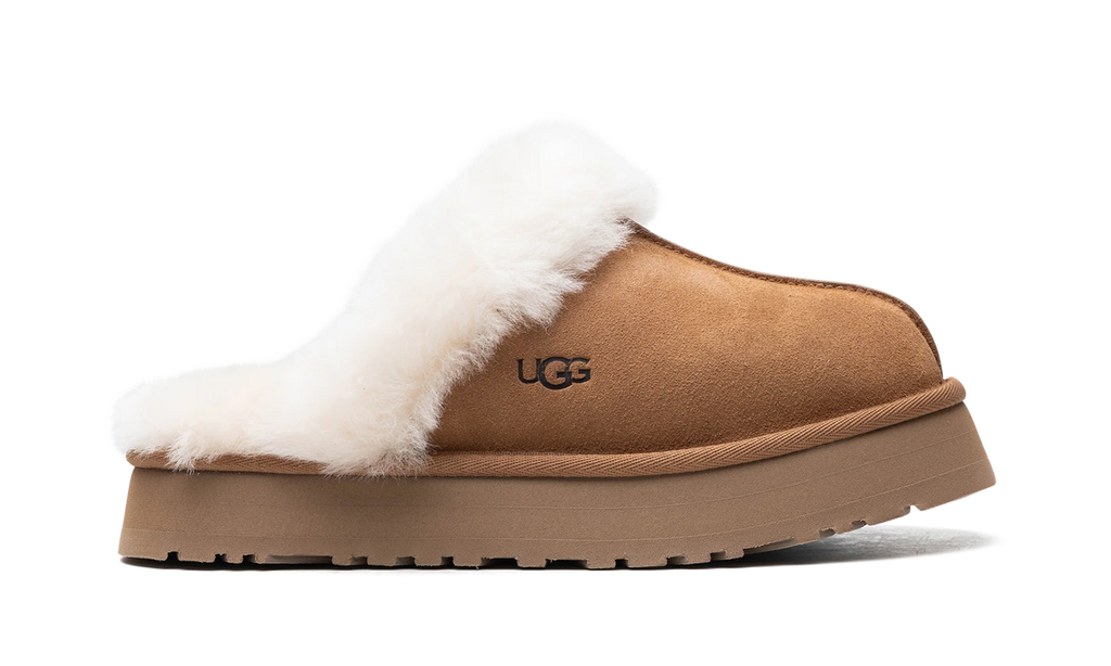 DISQUETTE WMNS "Chestnut" 1122550 CHE