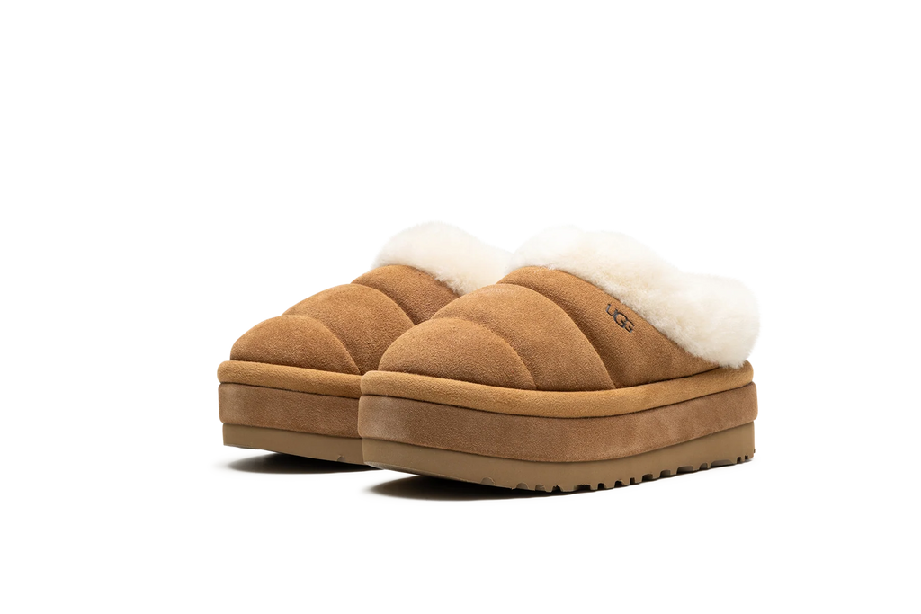 TAZZLITA WMNS "Chestnut" 1146390 CHE