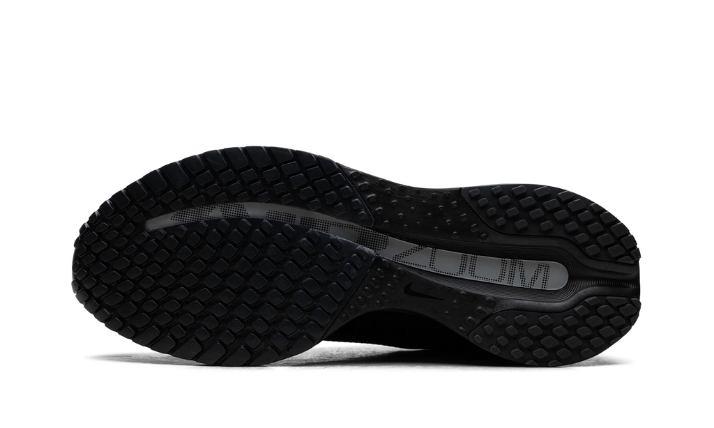 Air Zoom Pegasus Premium SP "Black Metallic Silver" IH4369001