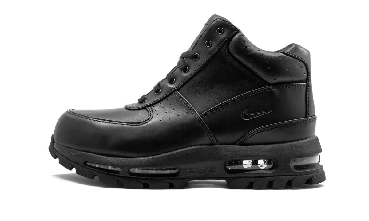 Air Max Goadome "Black" 865031 009