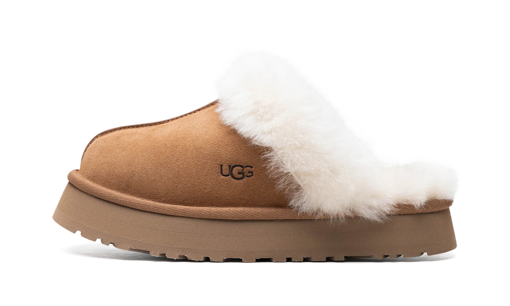 DISQUETTE WMNS "Chestnut" 1122550 CHE