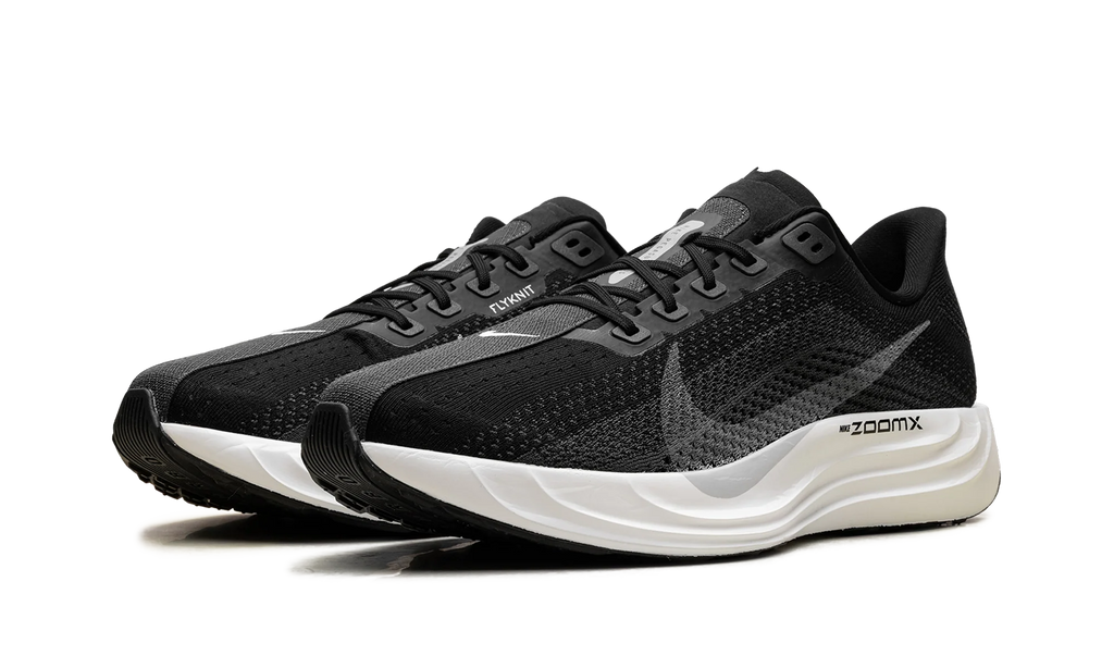 ZoomX Pegasus Plus "Black Pure Platinum" FQ7262 002