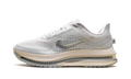 Air Zoom Pegasus Premium "Running is Mental" IQ0307 094