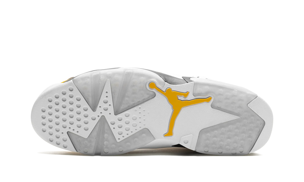 Air Jordan 6 "Yellow Ochre" CT8529 170