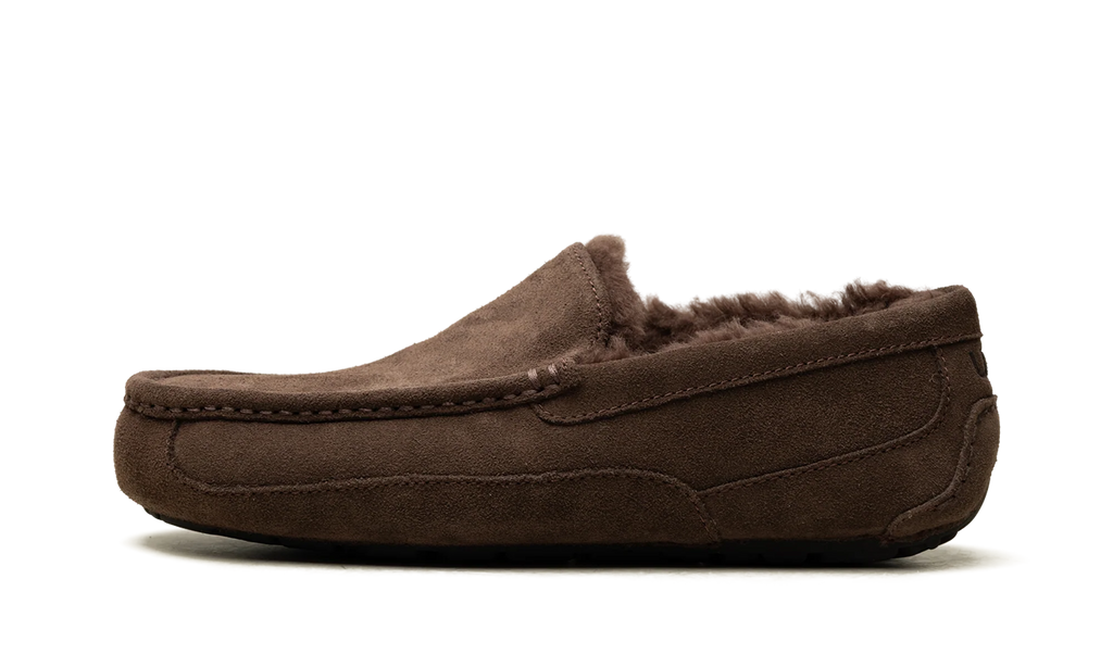 Ascot Slipper "Dusted Cocoa" 1101110 DDC