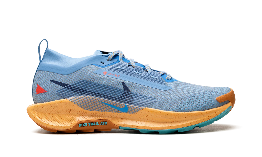 Pegasus Trail 5 Gore-Tex "Blue Beyond" FQ0908 400