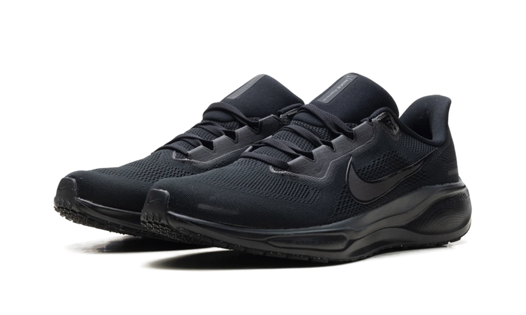 Air Zoom Pegasus 41 "Black Anthracite" FD2722-001