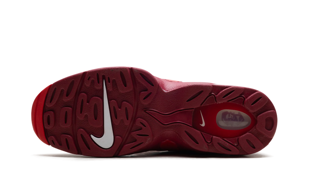 Air DT Max '96 "Love Letter To Connie" IF1617 600