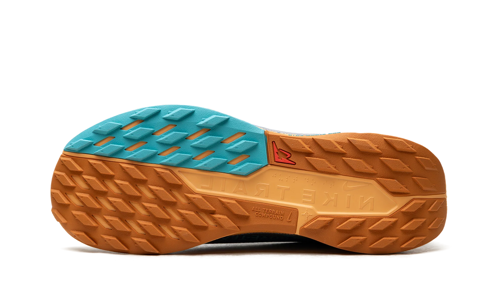 Pegasus Trail 5 Gore-Tex "Blue Beyond" FQ0908 400
