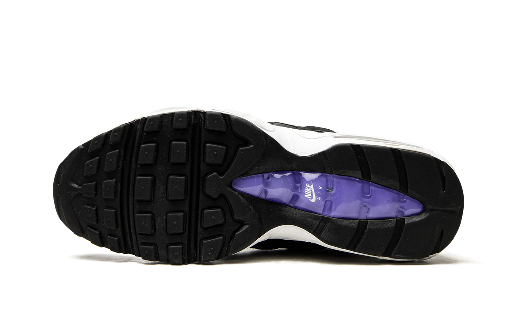Air Max 95 "Persian Violet" DO5960 100