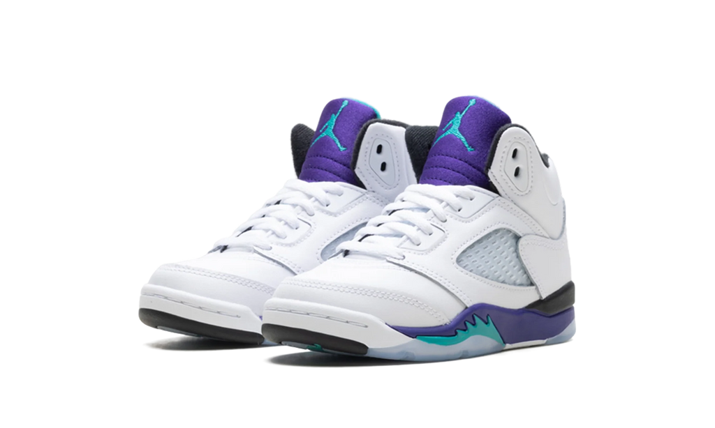 Air Jordan 5 Retro PS "Grape" HQ7979 100