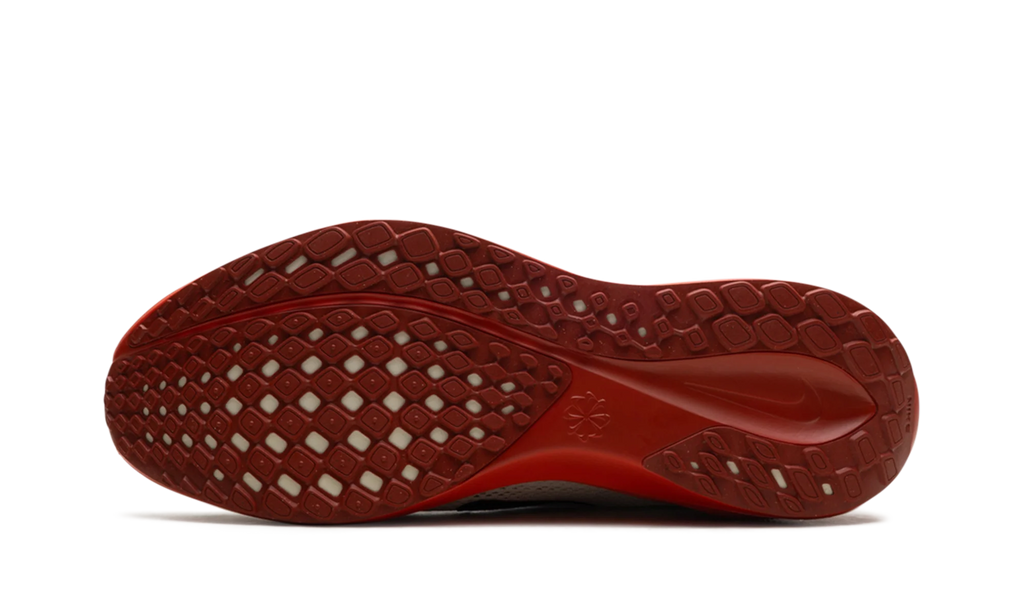 Air Zoom Pegasus 41 "Eliud Kipchoge" HJ7037 100