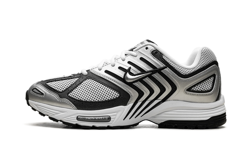 Air Pegasus 2005 "Metallic Silver White Black" HQ3031 002