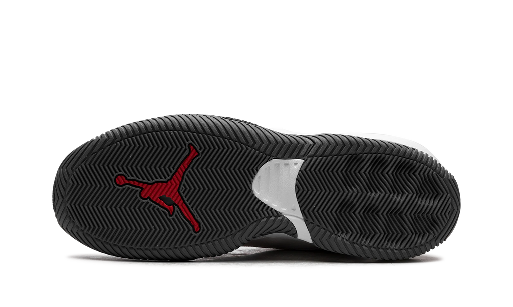 Jordan Stay Loyal "White Light Graphite" DB2884 105