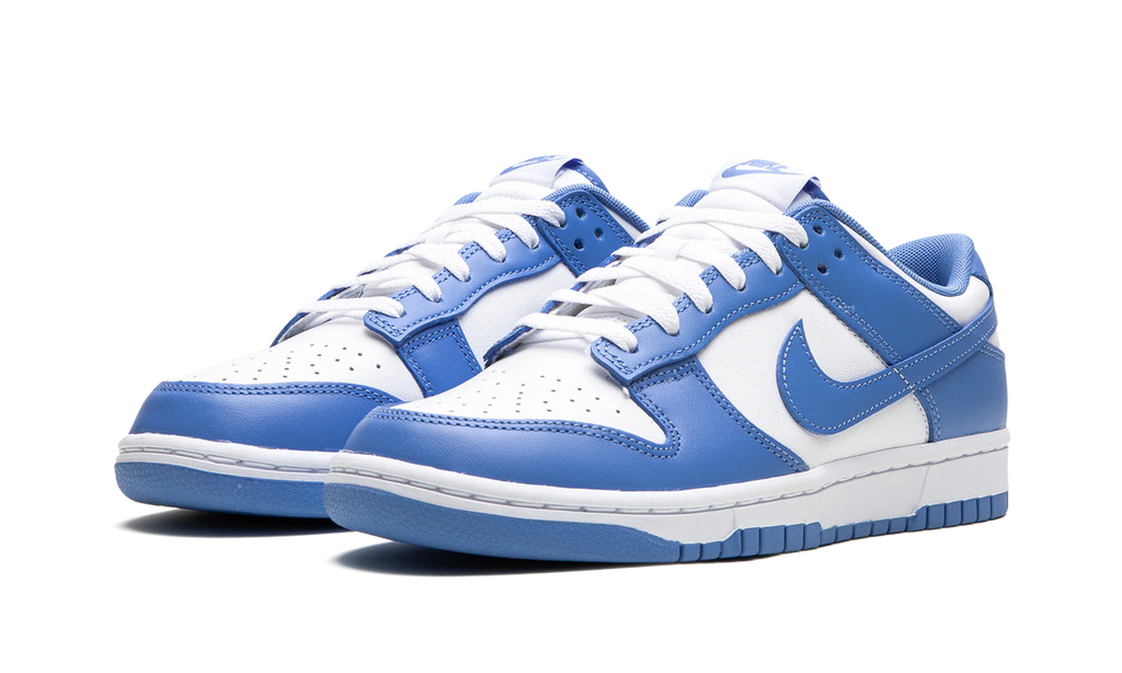 Dunk Low "Polar Blue / White" DV0833 400