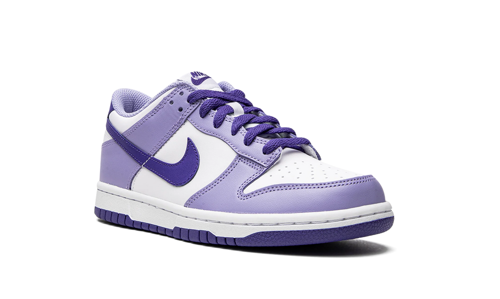 Dunk Low GS "Blueberry" DZ4456 100