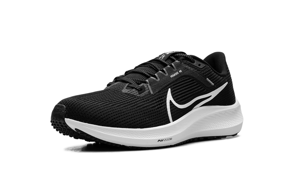 Air Zoom Pegasus 40 "Black White" DV3853 001