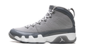 Air Jordan 9 "Cool Grey 2025" HV4794 011
