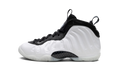 Air Foamposite One GS "Penny Hardaway PE" DV2238 100