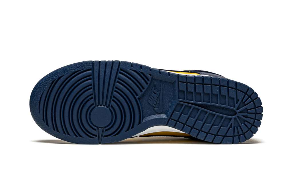 Dunk Low "Michigan" DD1391 700