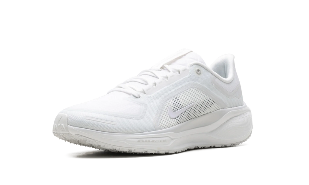 Air Zoom Pegasus 41 "Gore-Tex" FQ1356 101