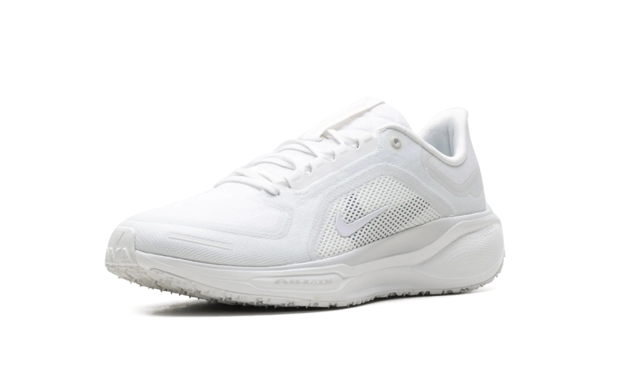 Air Zoom Pegasus 41 "Gore-Tex" FQ1356 101