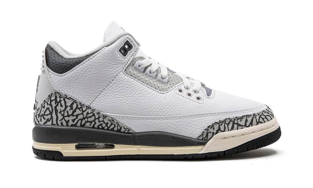 Air Jordan 3 GS "Hide N Sneak" DX6665 100