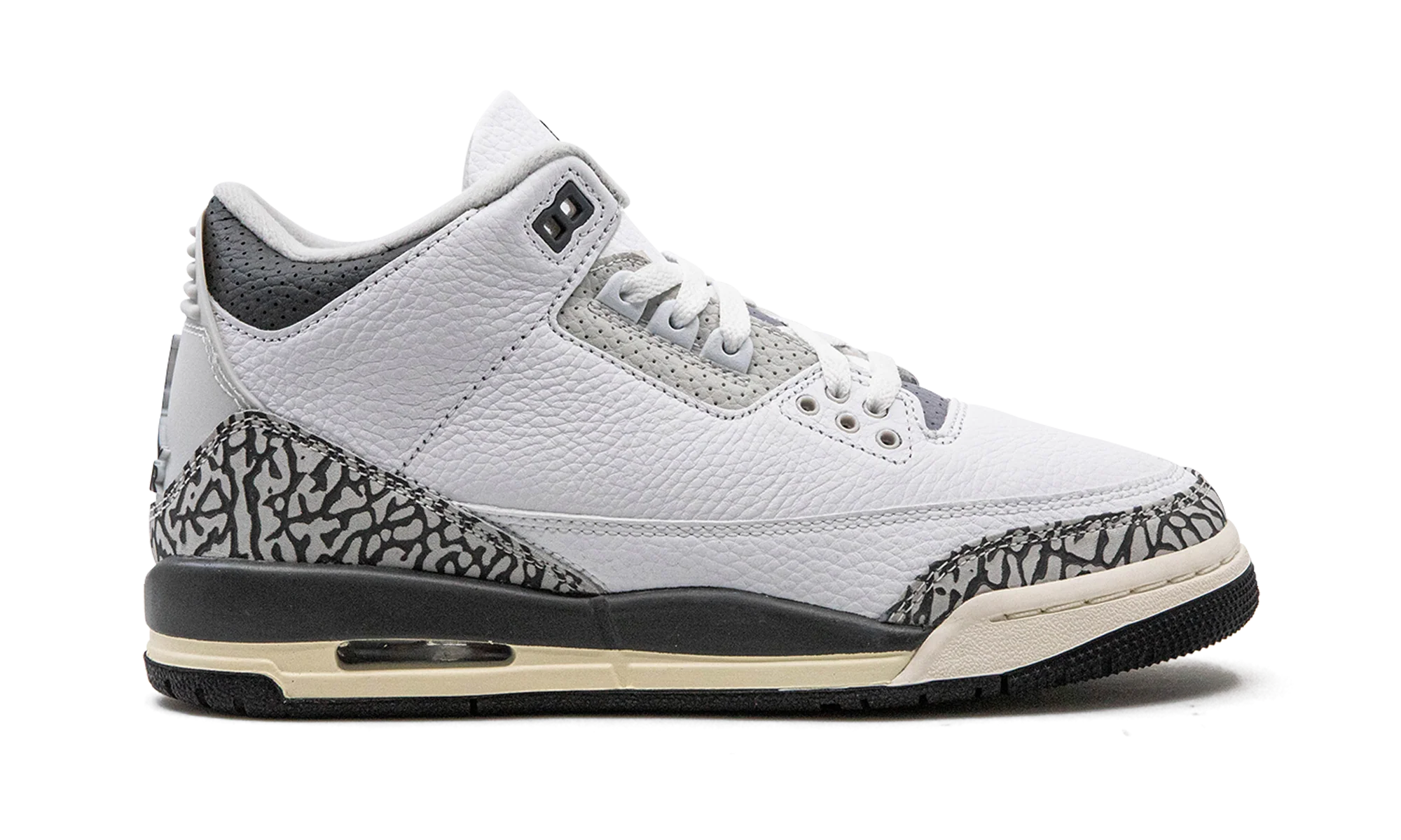 Air Jordan 3 GS "Hide N Sneak" DX6665 100