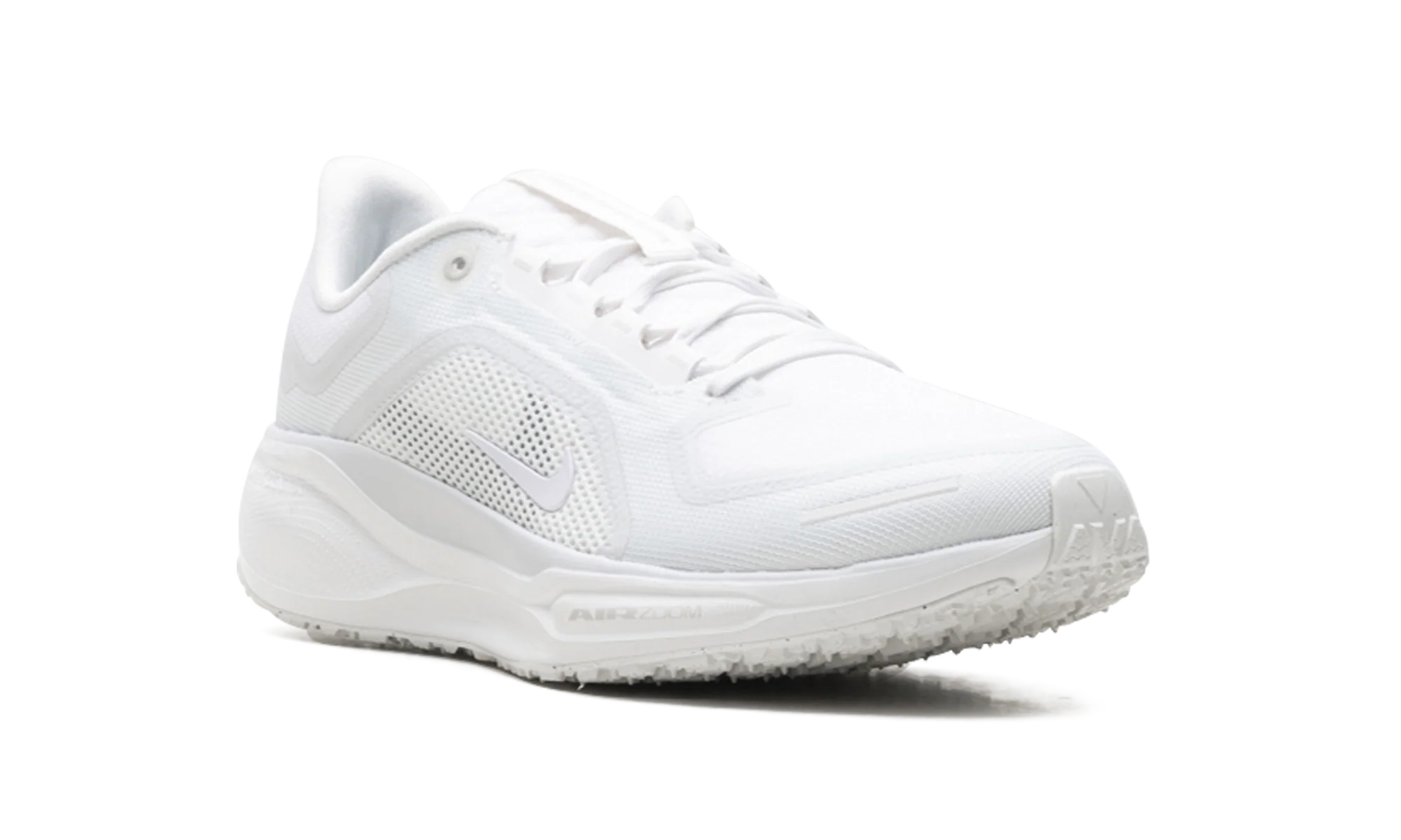Air Zoom Pegasus 41 "Gore-Tex" FQ1356 101