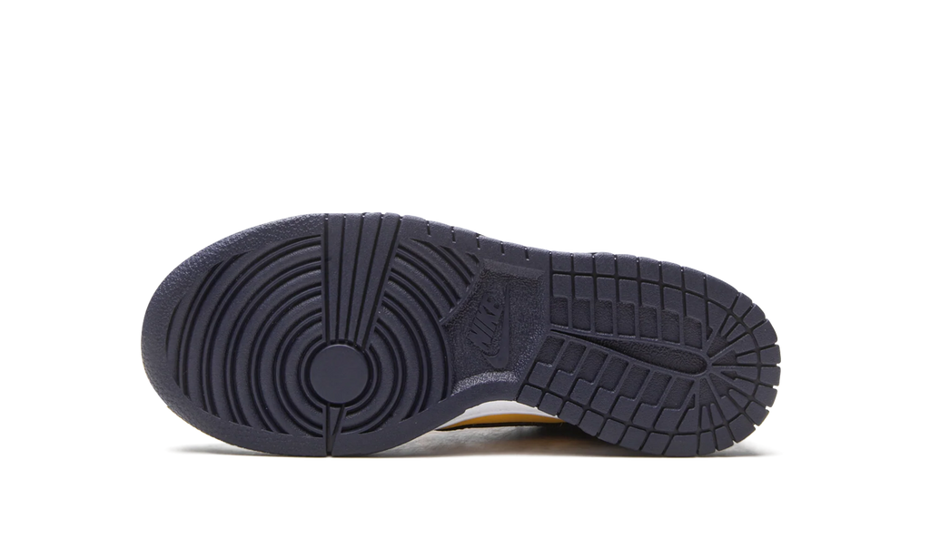 Dunk Low GS "Michigan 2021" CW1590 700
