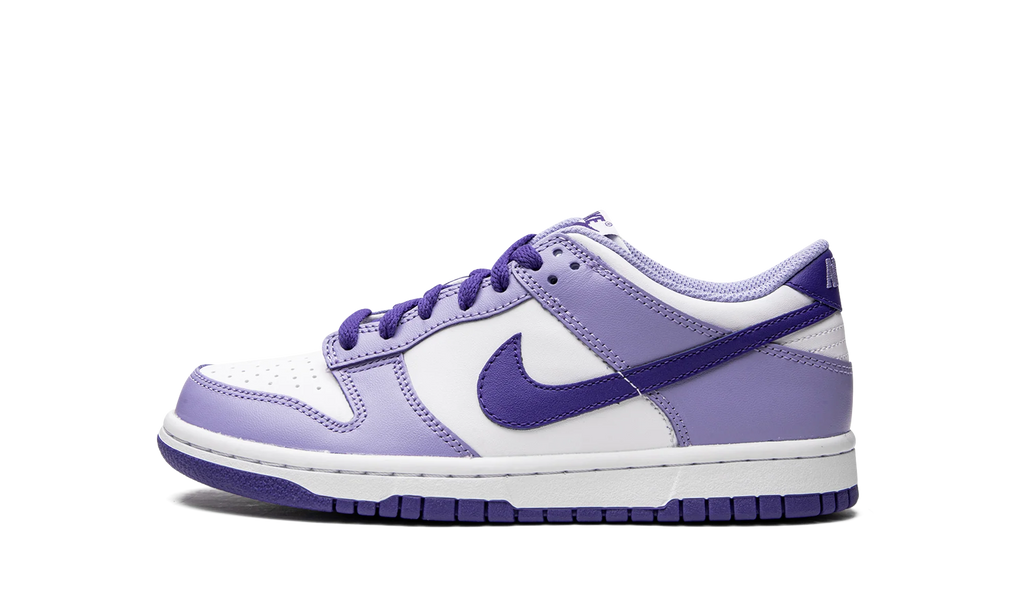 Dunk Low GS "Blueberry" DZ4456 100