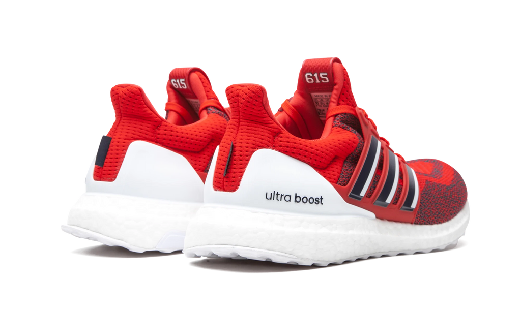 Ultraboost 2.0 DNA X PE "Brentwood Academy" FZ5487