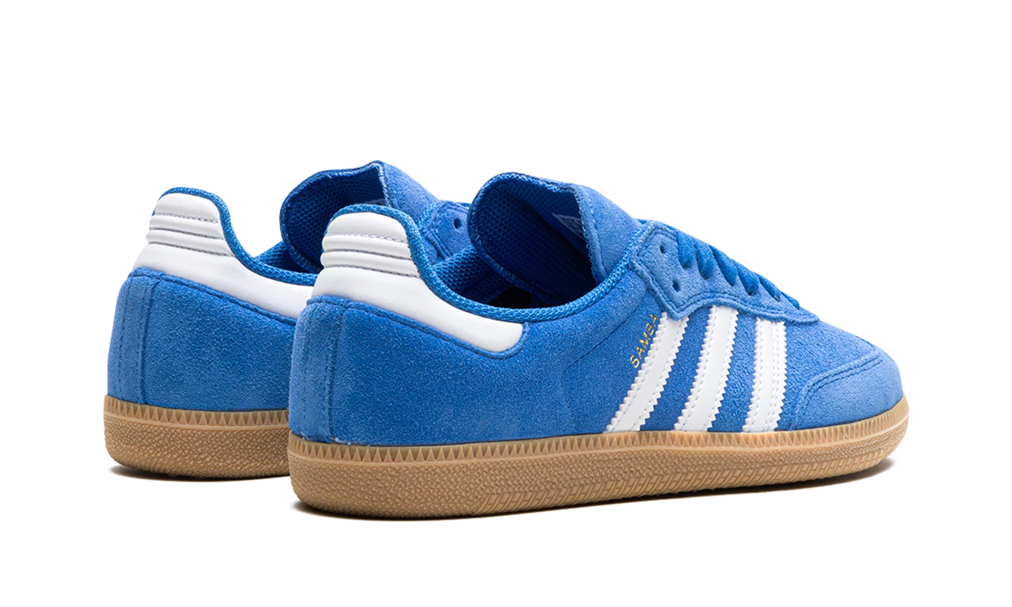 Samba Adv "Blue Bird" JP5719
