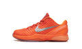 Kobe VI GS "WNBA" FV9676 800