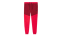 Tech Fleece Jogger Pants CU4495 643