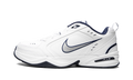 Air Monarch 4 "NAVY" 415445 102