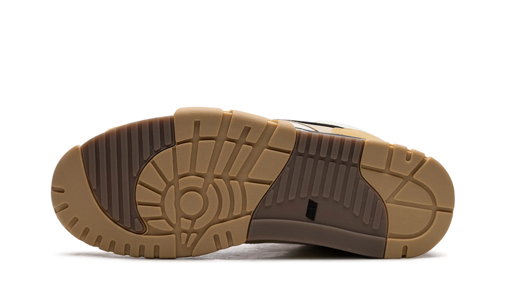 Air Trainer 1 "Coconut Milk" DV7201 100