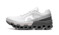 Cloudmonster 2 "Frost Rock" 3ME10122564