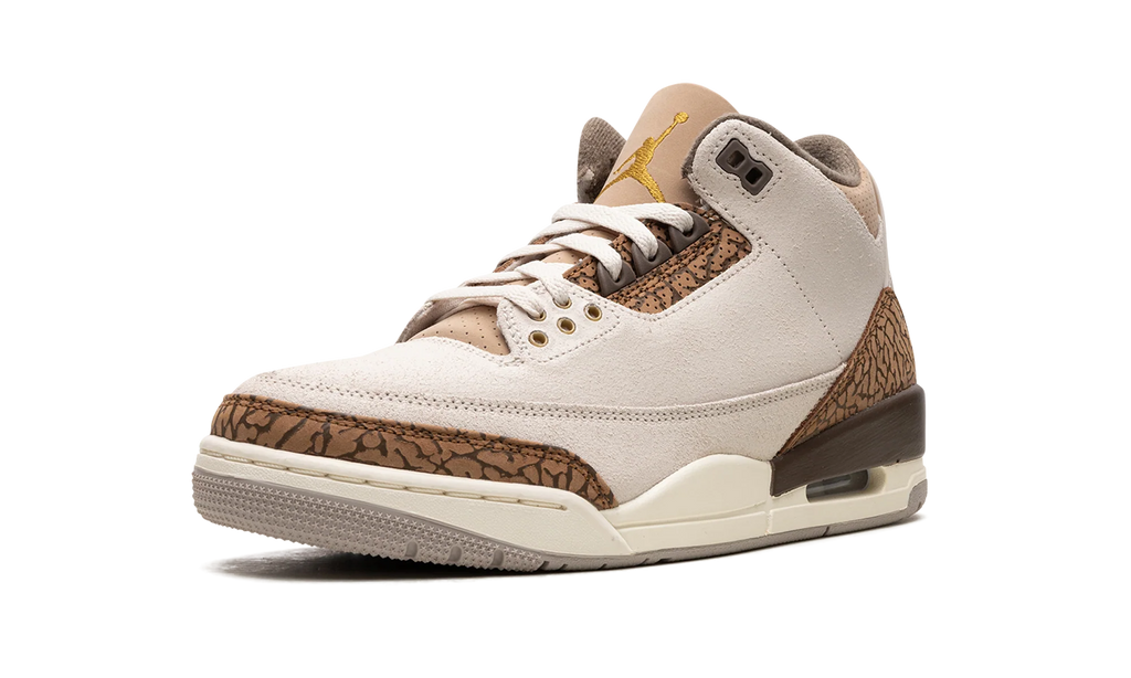 Air Jordan 3 "Palomino" CT8532 102