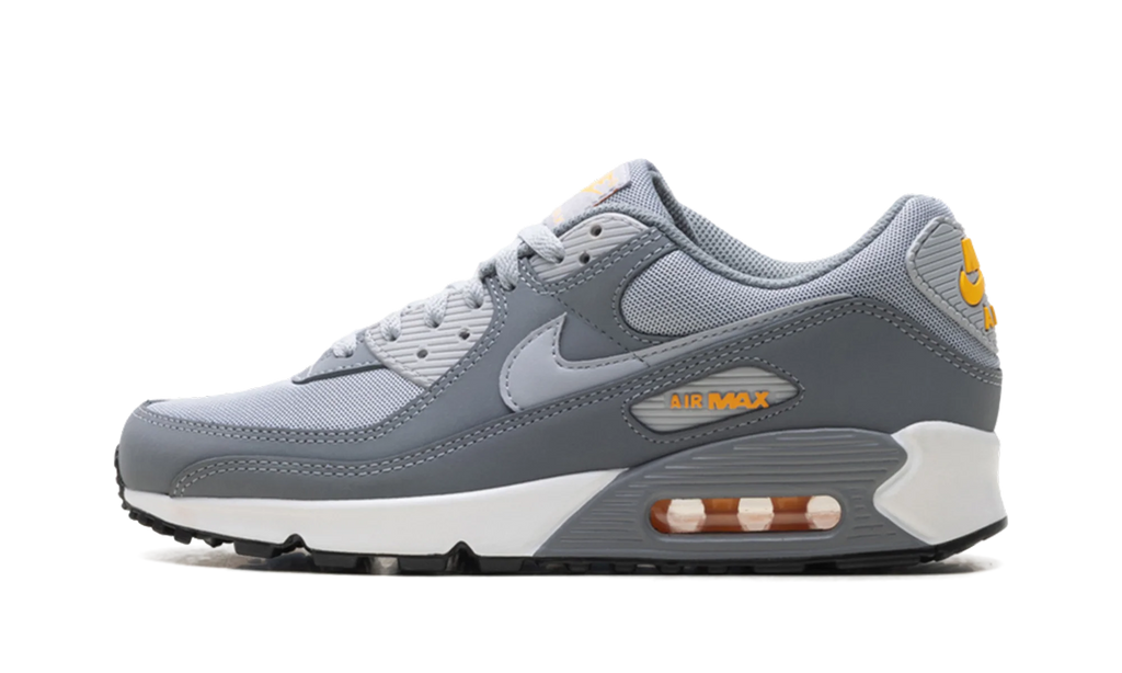 Air Max 90 "Cool Grey Sundial" HV6224 002