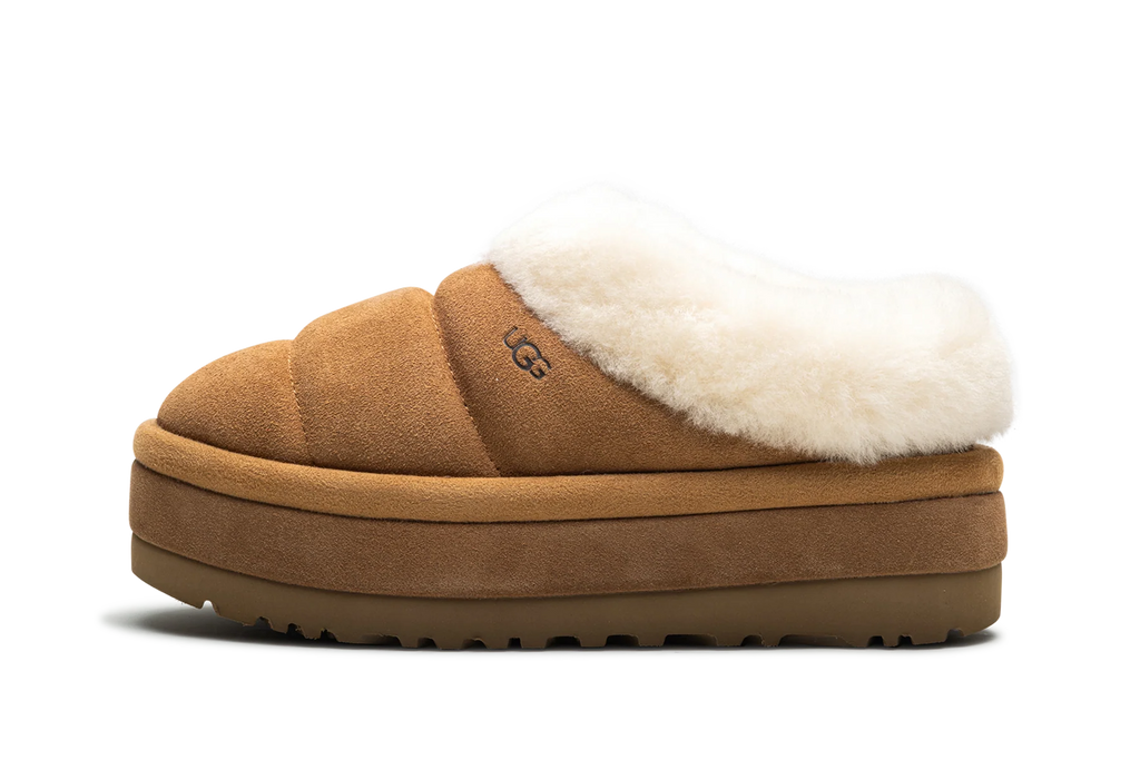 TAZZLITA WMNS "Chestnut" 1146390 CHE