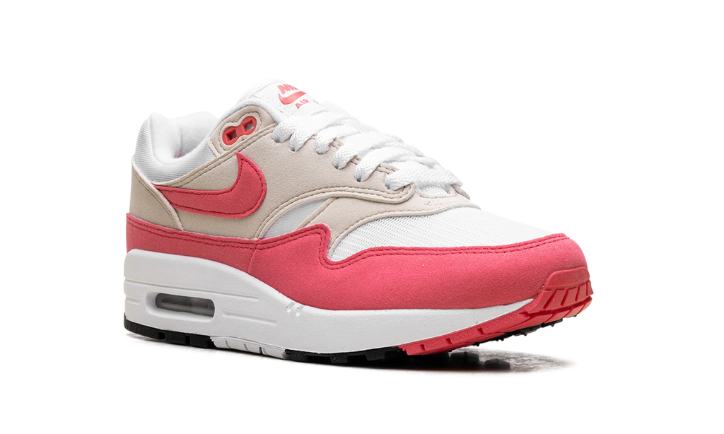 Air Max 1 WMNS "Aster Pink" DZ2628 110
