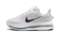 Pegasus Premium WMNS "White Metallic Silver" HQ2593 102