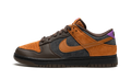 Dunk Low Retro PRM "Cider" DH0601 001