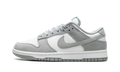 Dunk Low "Light Pumice" FQ8249 101